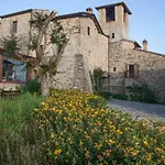 Life Abbazia San Faustino 4* Carpini