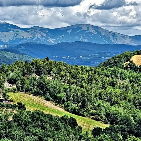 فندق Life Abbazia San Faustino 4*