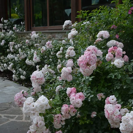 Life Abbazia San Faustino 4*