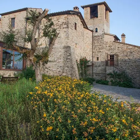 Life Abbazia San Faustino 4* Carpini