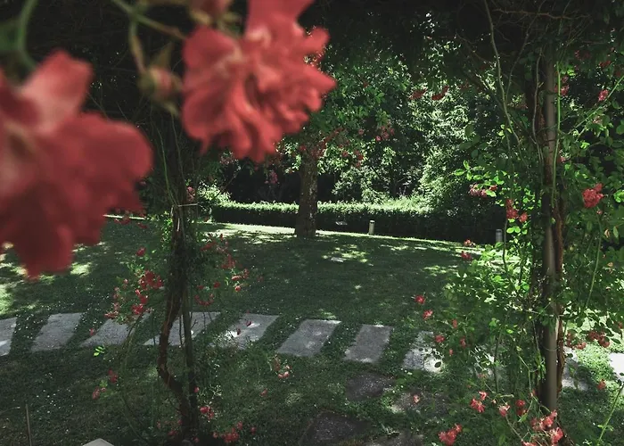 Life Abbazia San Faustino 4* Carpini