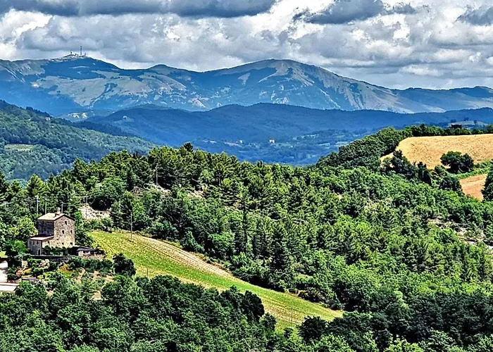 Hotel Life Abbazia San Faustino 4*