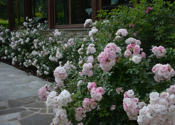 Life Abbazia San Faustino 4*