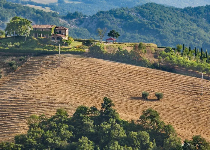 Life Abbazia San Faustino Carpini