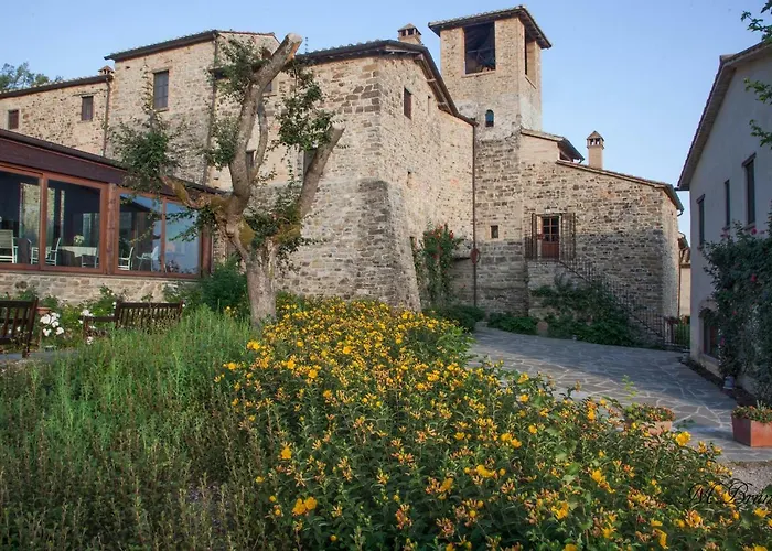 Life Abbazia San Faustino 4* Carpini